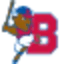 Buffalo Bison Store